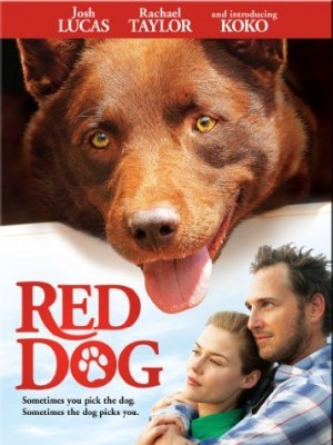 Red Dog (Chú Chó Đỏ) (2011)