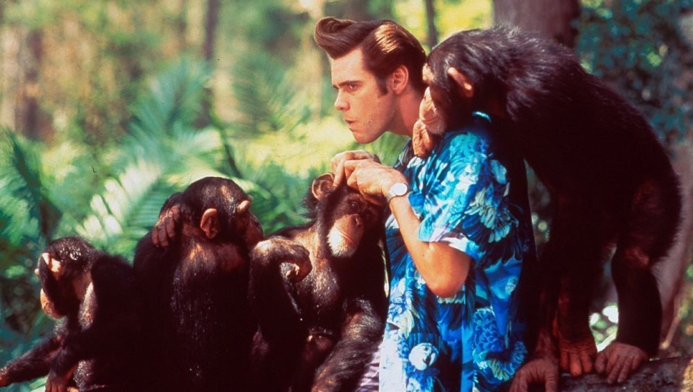 Xem Phim Khi Thiên Nhiên Vẫy Gọi - Ace Ventura: When Nature Calls - 1995,  1995