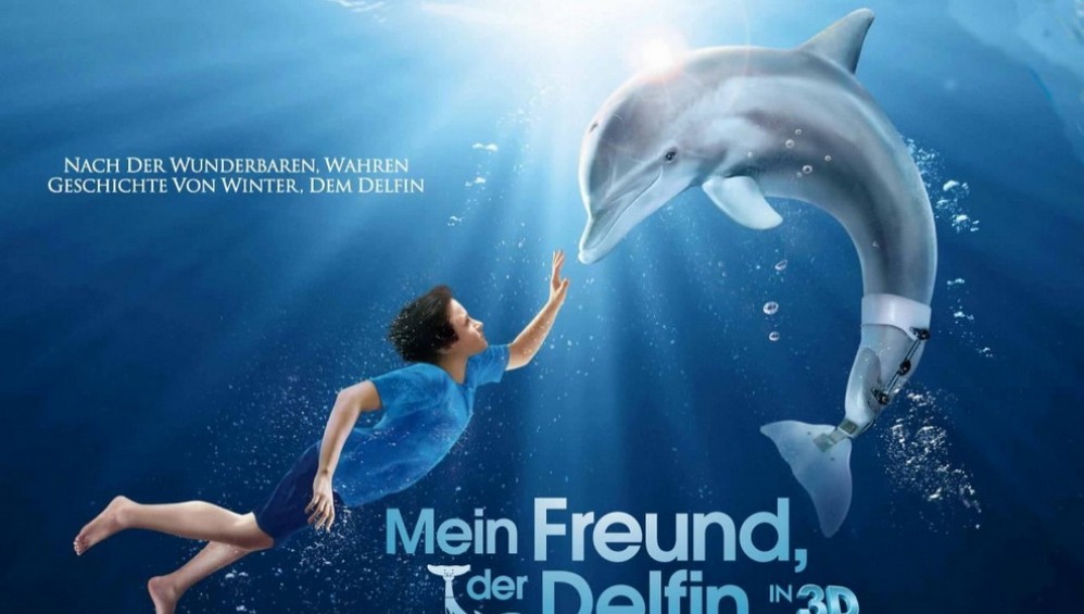 Xem Phim Dolphin Tale (Câu Chuyện Cá Heo) (2011),  2011