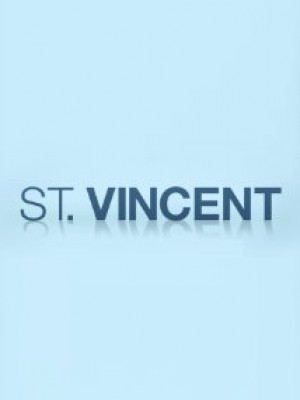 St. Vincent - 2014