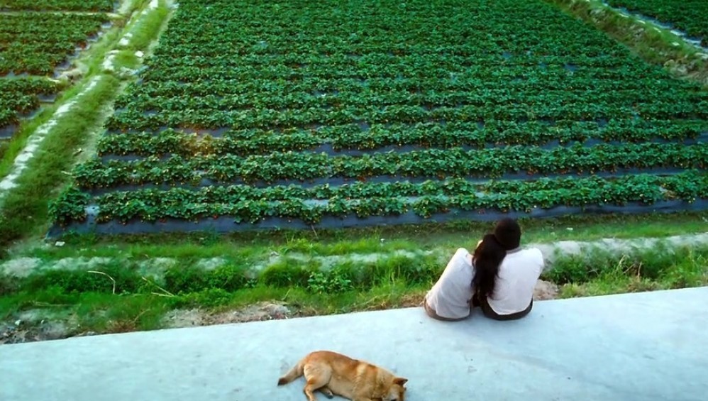 Xem Phim The Road Less Travelled (Luôn Có Anh Bên Đời) (2010),  2010