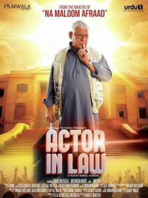 Vai Diễn Để Đời - Actor in Law