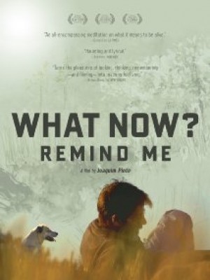 What Now, Remind Me? - 2014